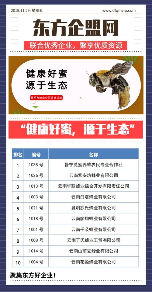 健康好蜜，源于生態(tài)——昆明市蜂業(yè)公司評選活動(dòng)信息技術(shù)咨詢服務(wù)方案